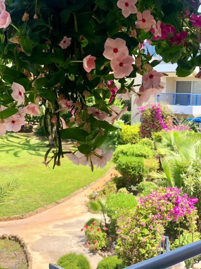 Holiday Apartment Walking Distance To The Sea Paphos Esterno foto